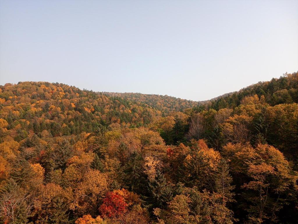 北海道k之屋-旭岳温泉青年旅馆 东川町